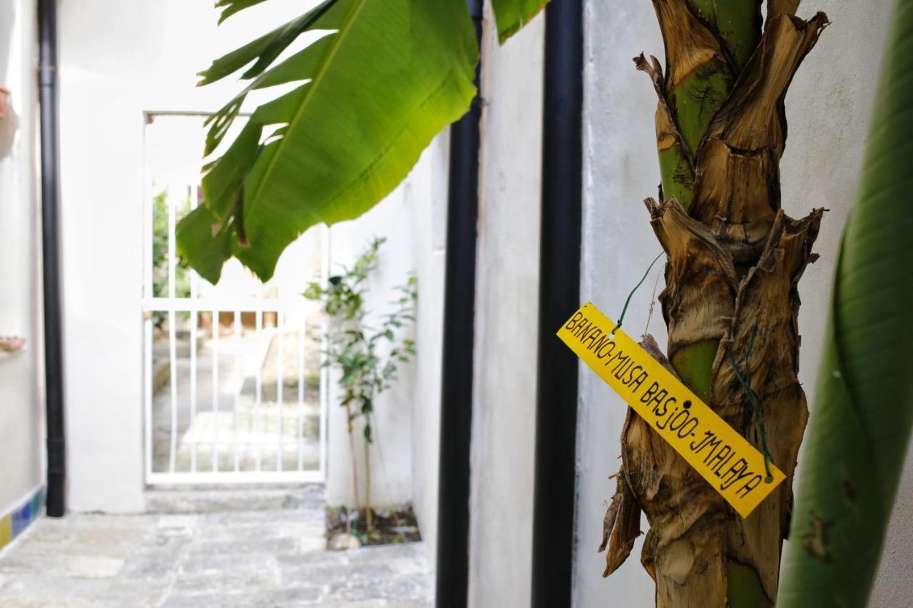 B&B Garibaldi Alcamo Ngoại thất bức ảnh