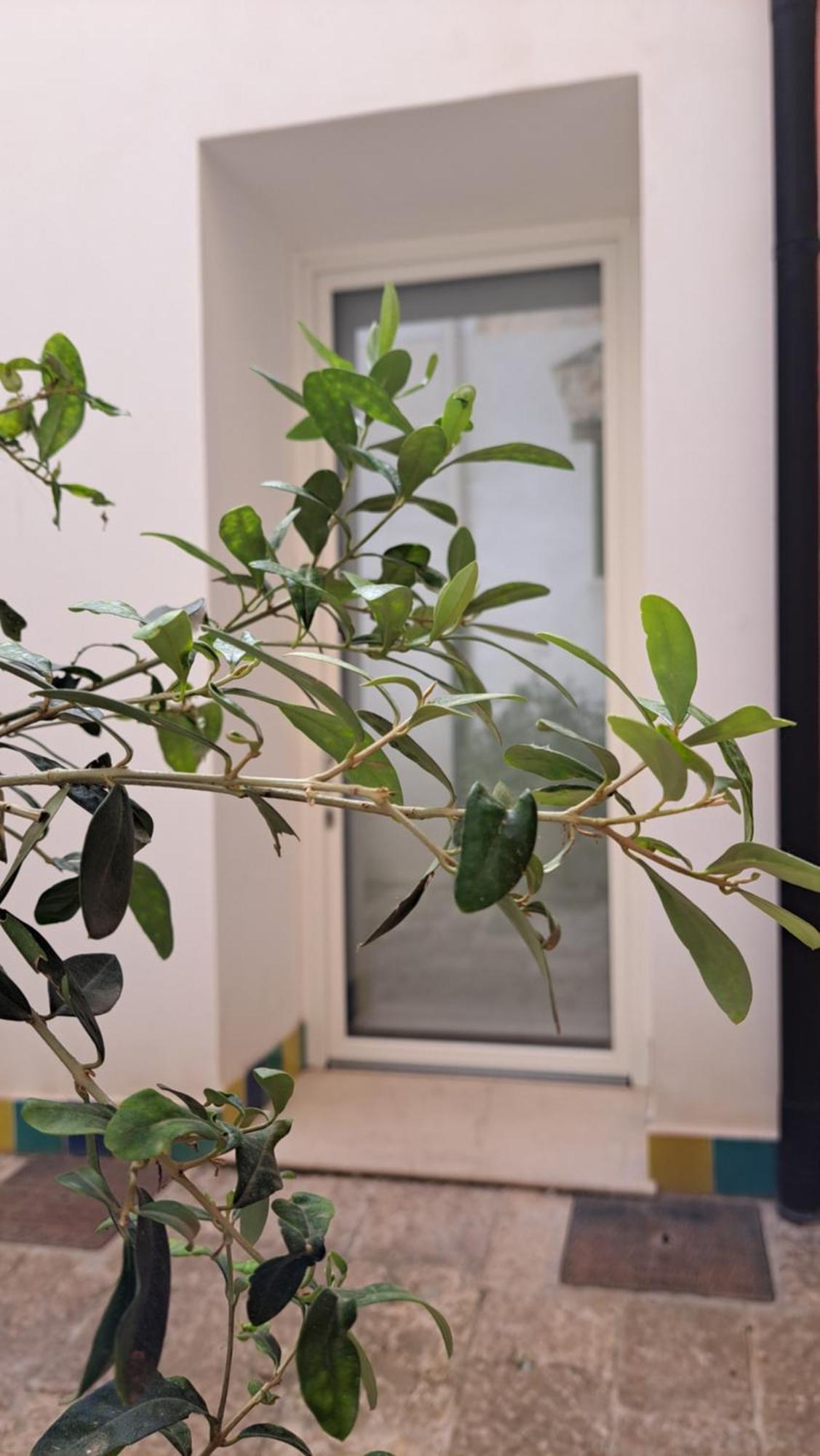 B&B Garibaldi Alcamo Ngoại thất bức ảnh
